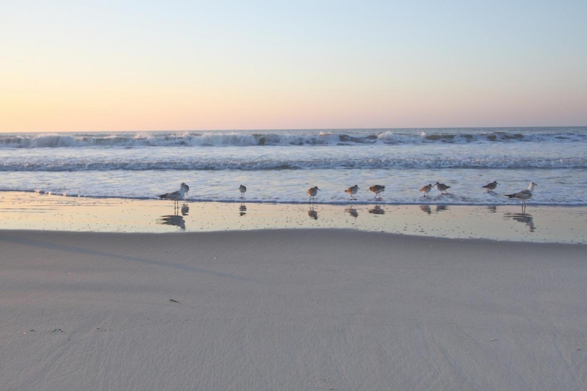 Just Beachy Villa Isle of Palms Bagian luar foto
