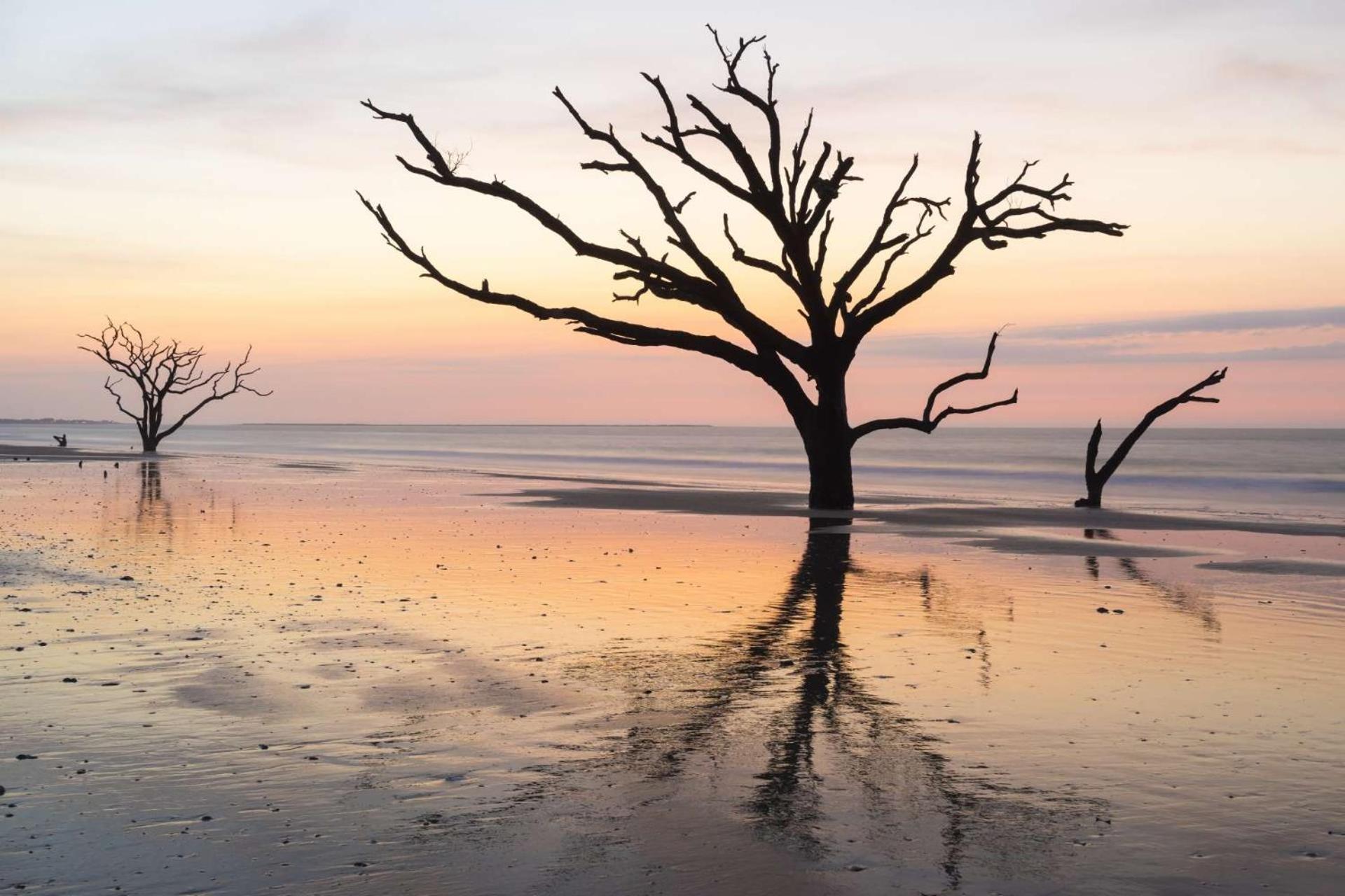 Just Beachy Villa Isle of Palms Bagian luar foto
